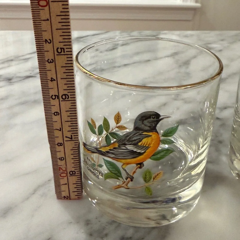 Vtg 70s MCM West Virginia Glass American Songbirds 2 Glasses Oriole Tanager